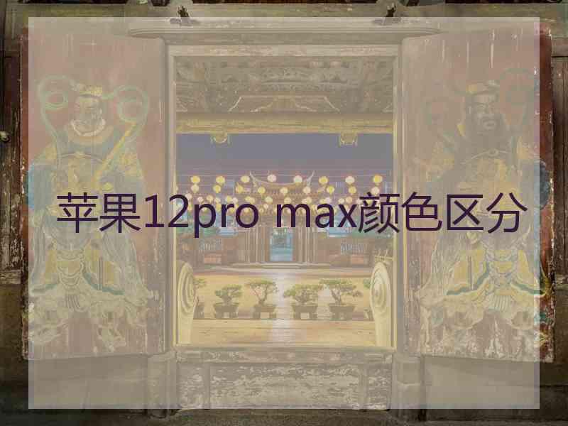 苹果12pro max颜色区分