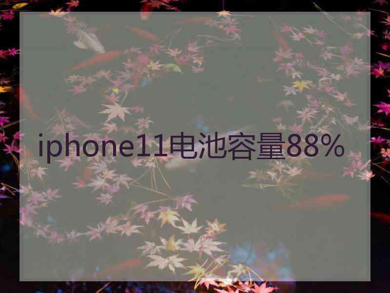 iphone11电池容量88%