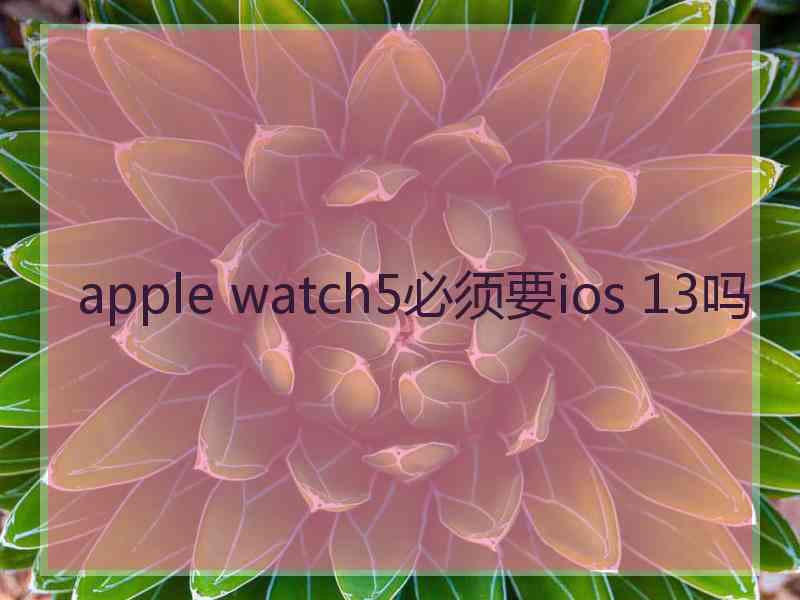 apple watch5必须要ios 13吗