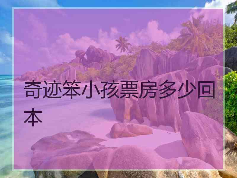 奇迹笨小孩票房多少回本