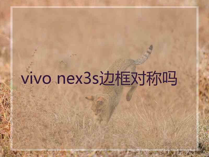 vivo nex3s边框对称吗