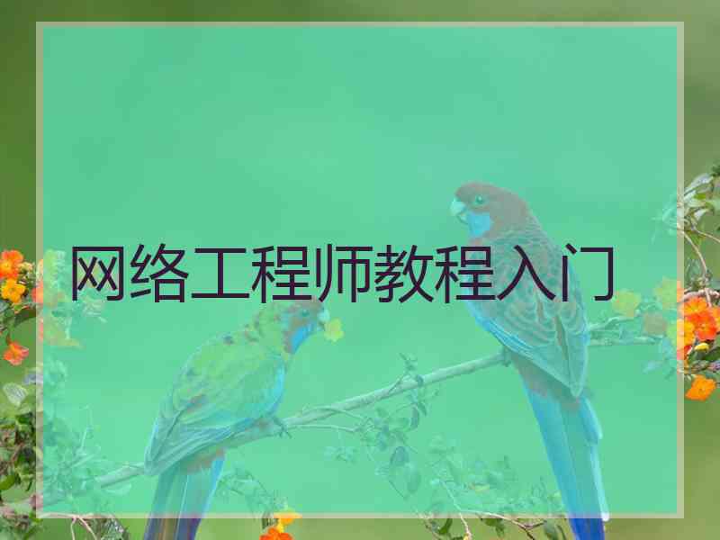 网络工程师教程入门