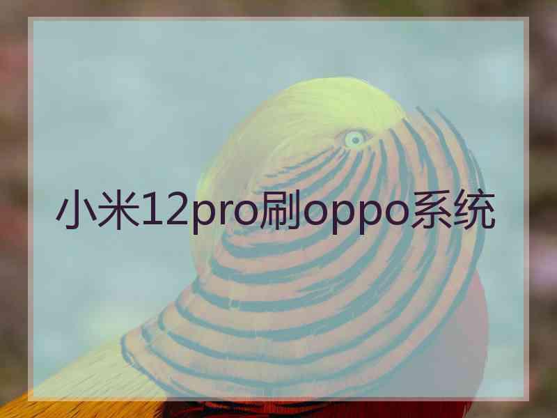 小米12pro刷oppo系统