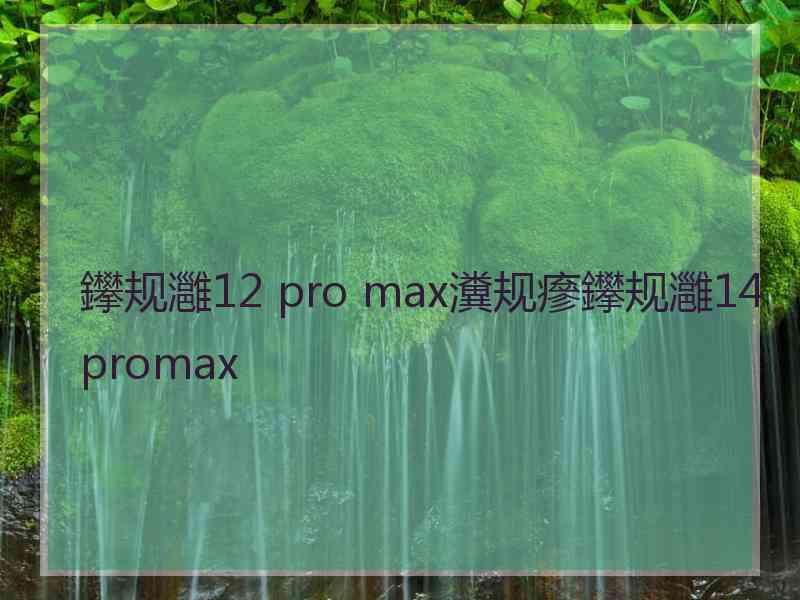 鑻规灉12 pro max瀵规瘮鑻规灉14promax