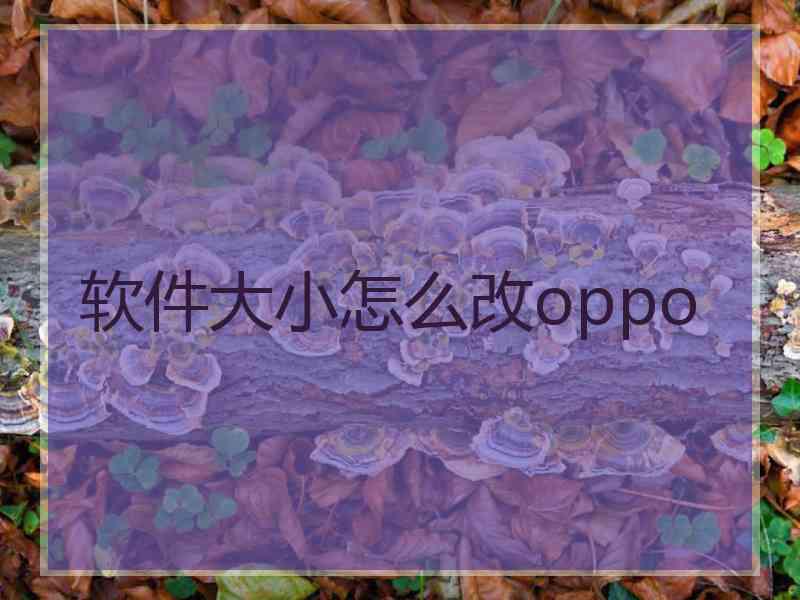 软件大小怎么改oppo