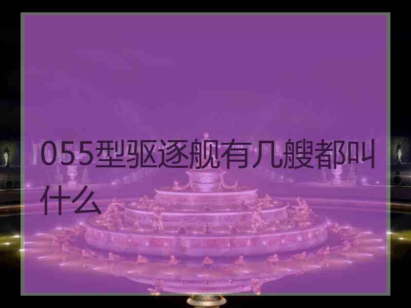 055型驱逐舰有几艘都叫什么