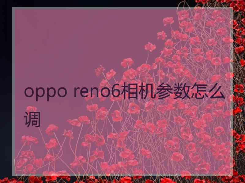 oppo reno6相机参数怎么调