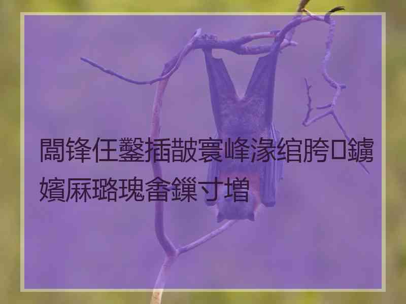 闆锋仼鑿插皵寰峰湪绾胯鐪嬪厤璐瑰畬鏁寸増