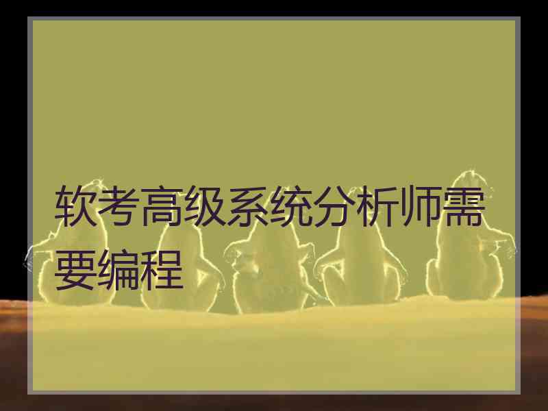 软考高级系统分析师需要编程