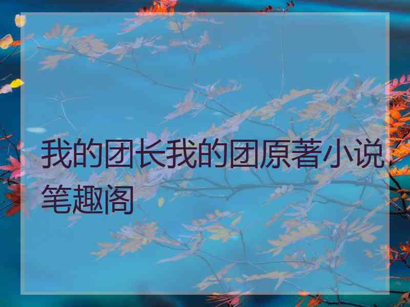 我的团长我的团原著小说笔趣阁