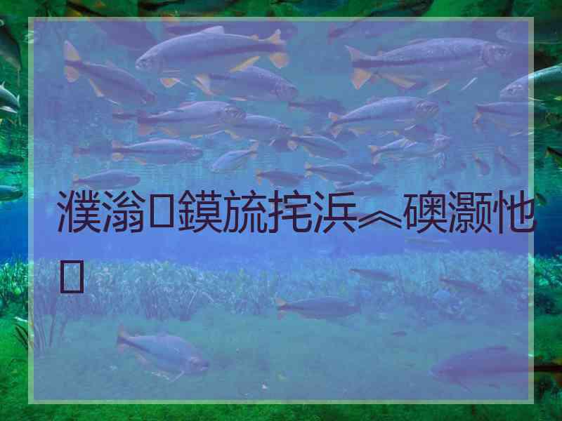 濮滃鏌旈挓浜︽礇灏忚