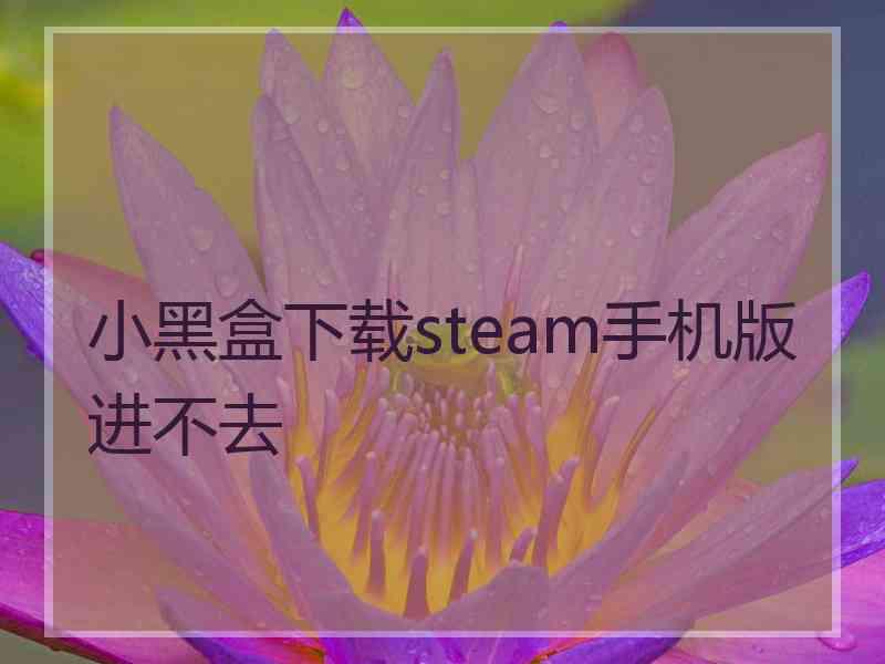 小黑盒下载steam手机版进不去