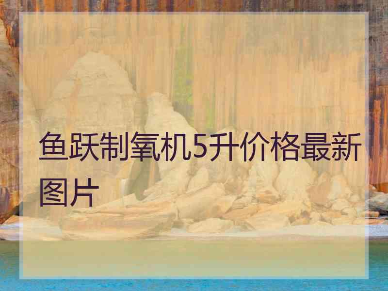 鱼跃制氧机5升价格最新图片