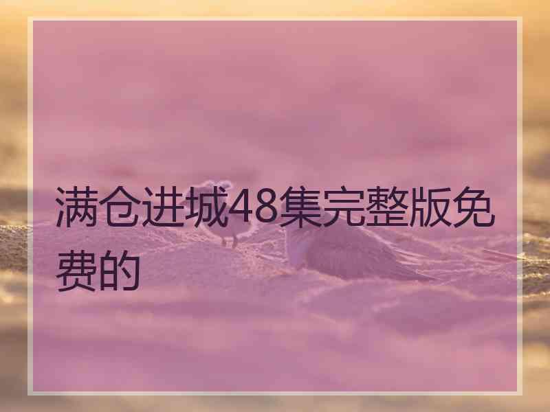 满仓进城48集完整版免费的