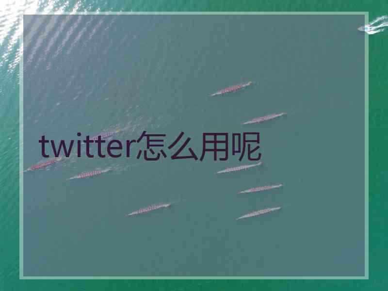 twitter怎么用呢