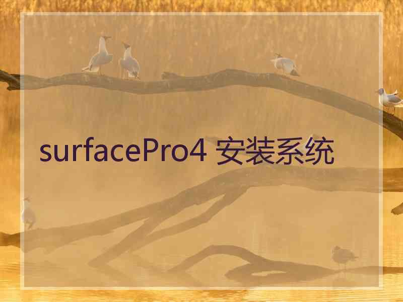 surfacePro4 安装系统