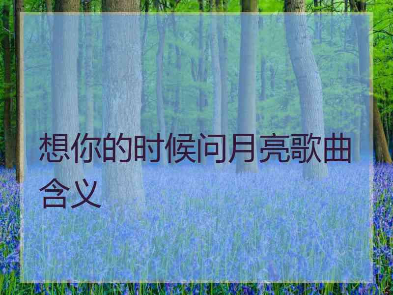 想你的时候问月亮歌曲含义