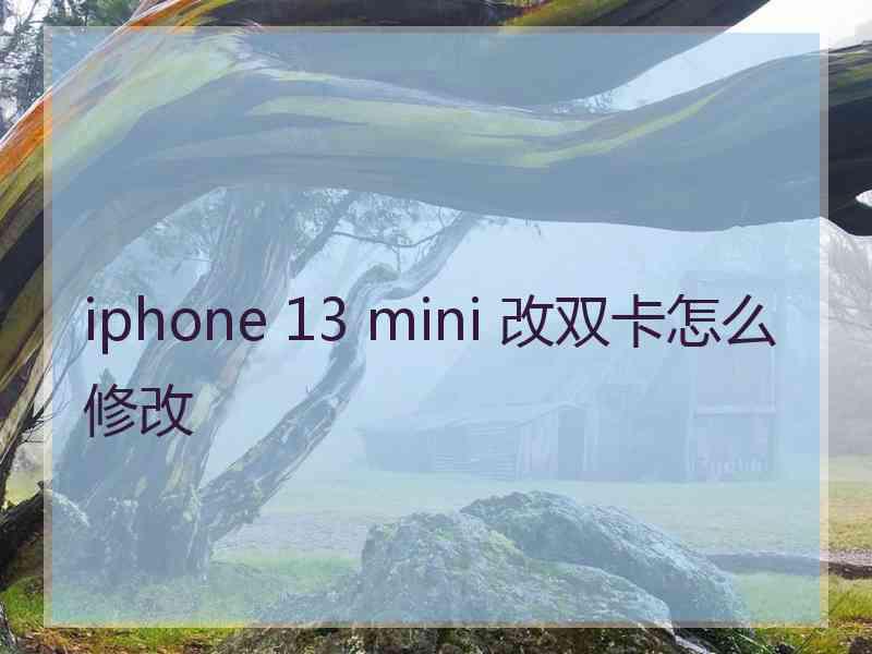 iphone 13 mini 改双卡怎么修改