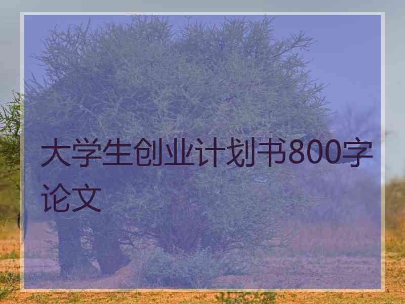 大学生创业计划书800字论文