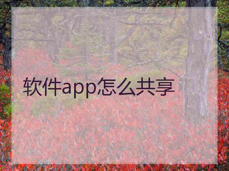 软件app怎么共享