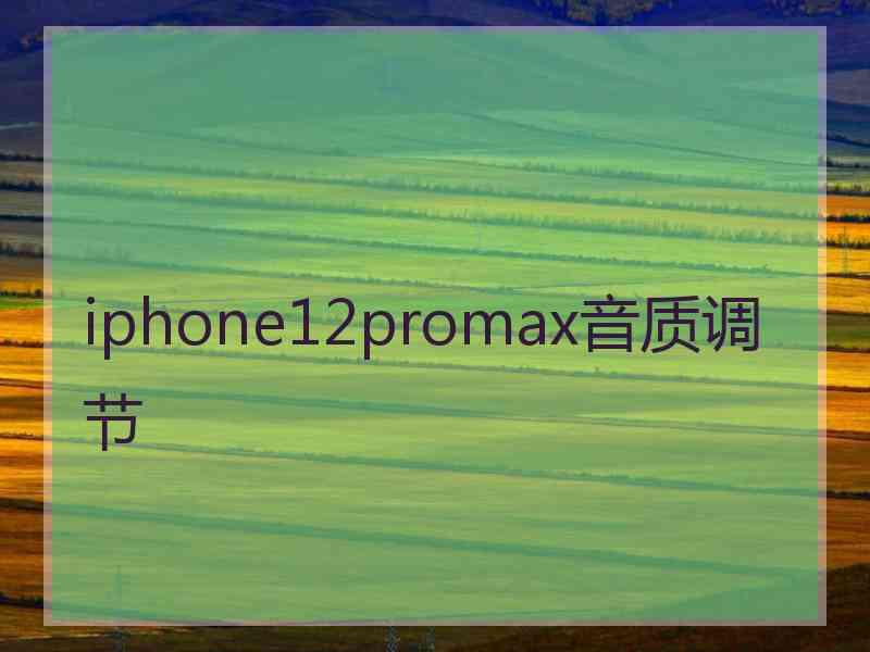 iphone12promax音质调节