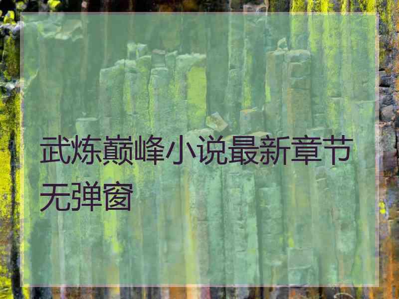 武炼巅峰小说最新章节无弹窗