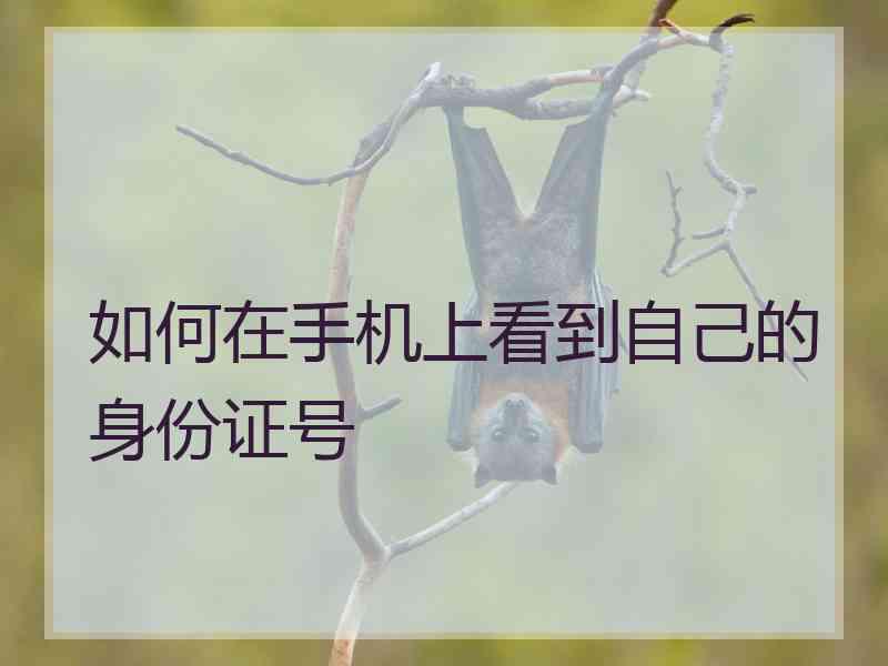 如何在手机上看到自己的身份证号