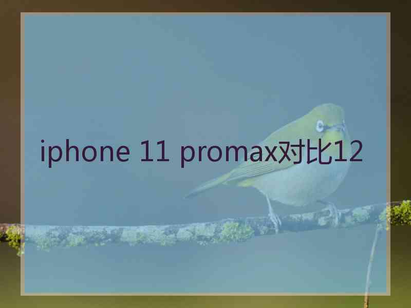 iphone 11 promax对比12