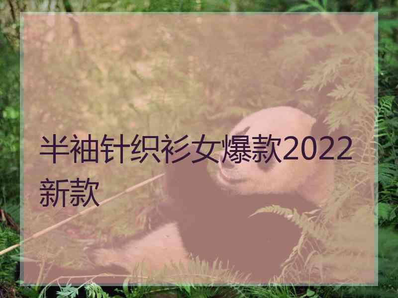 半袖针织衫女爆款2022新款