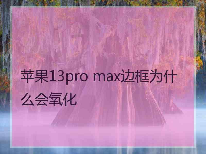 苹果13pro max边框为什么会氧化