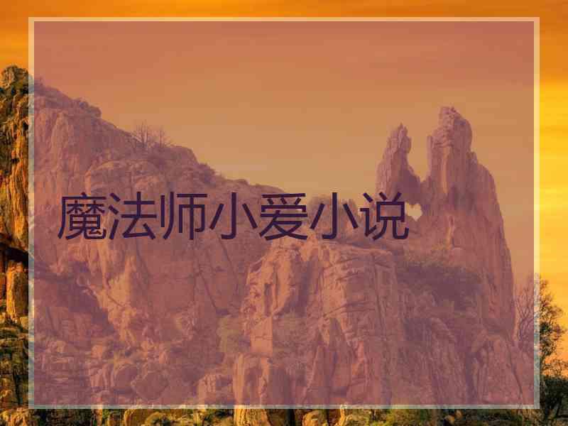 魔法师小爱小说