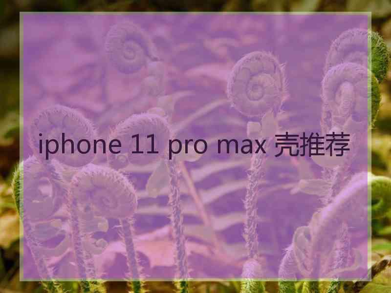 iphone 11 pro max 壳推荐