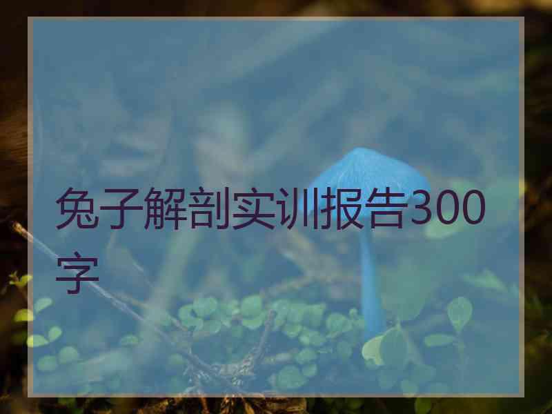 兔子解剖实训报告300字