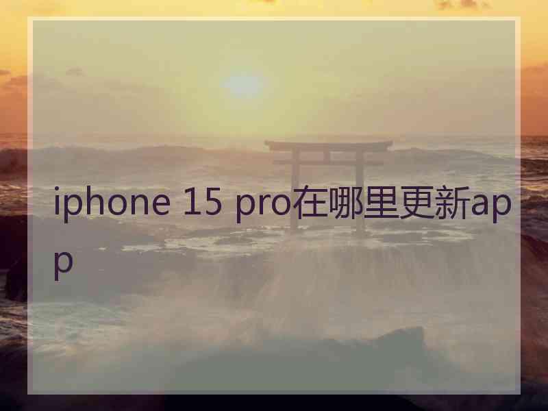 iphone 15 pro在哪里更新app