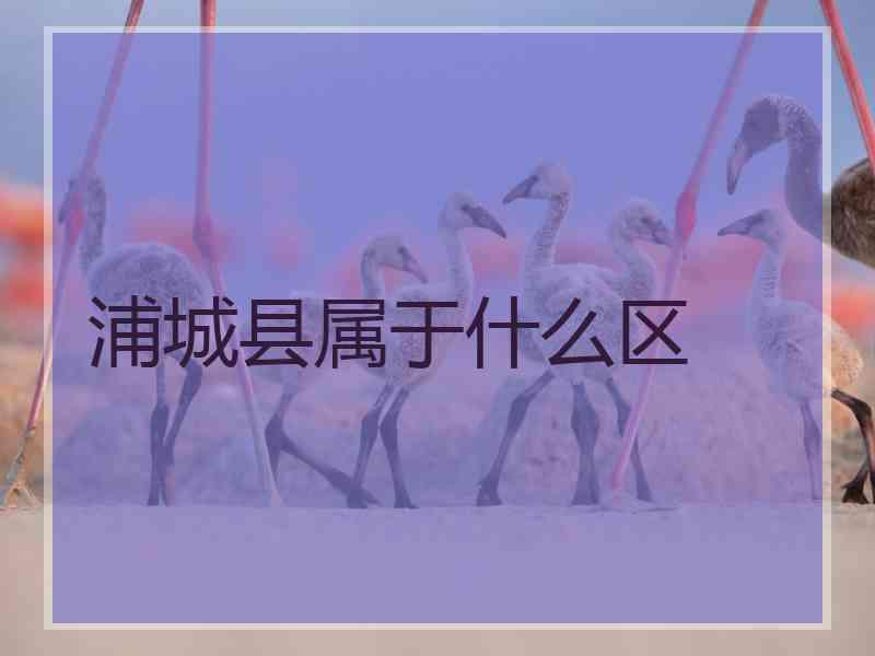 浦城县属于什么区