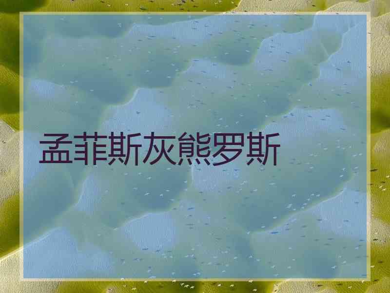 孟菲斯灰熊罗斯