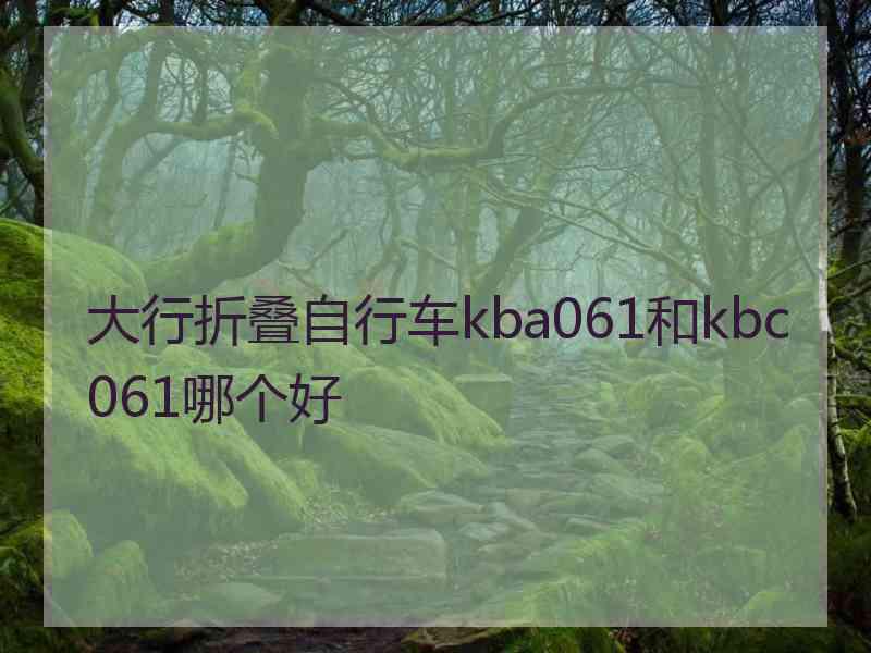 大行折叠自行车kba061和kbc061哪个好