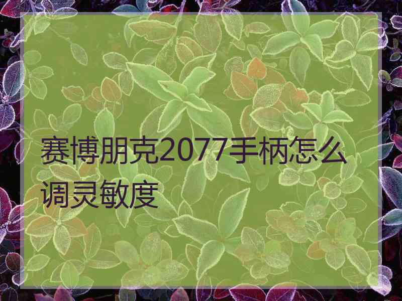 赛博朋克2077手柄怎么调灵敏度