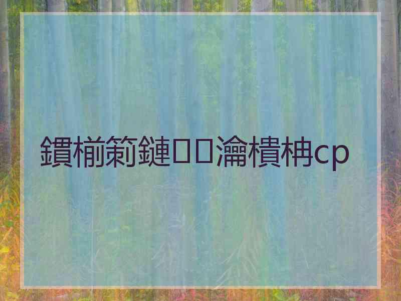 鏆椾箣鏈瀹樻柟cp