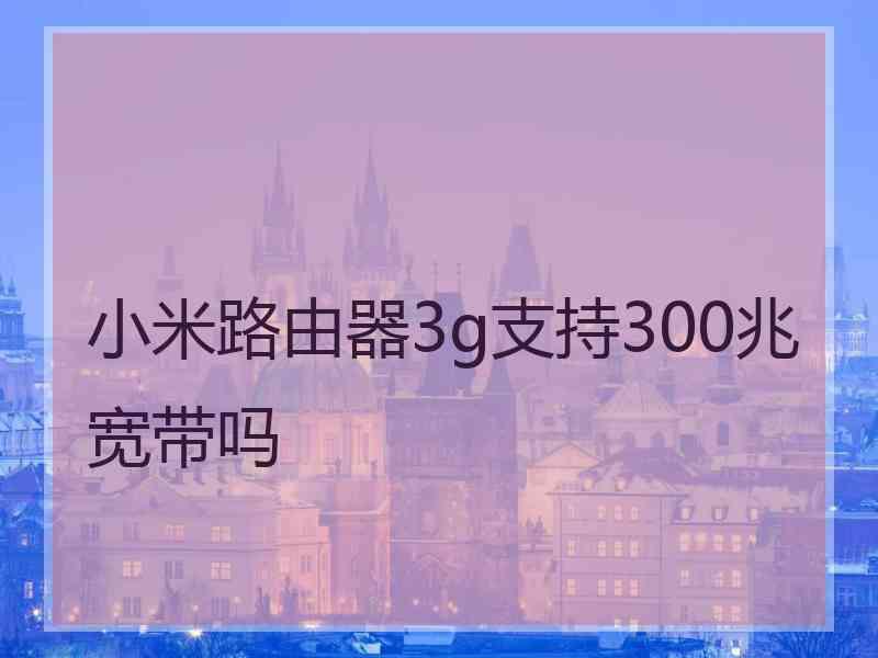 小米路由器3g支持300兆宽带吗