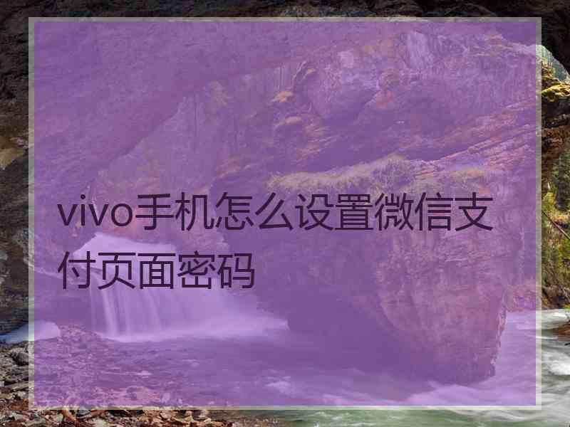 vivo手机怎么设置微信支付页面密码