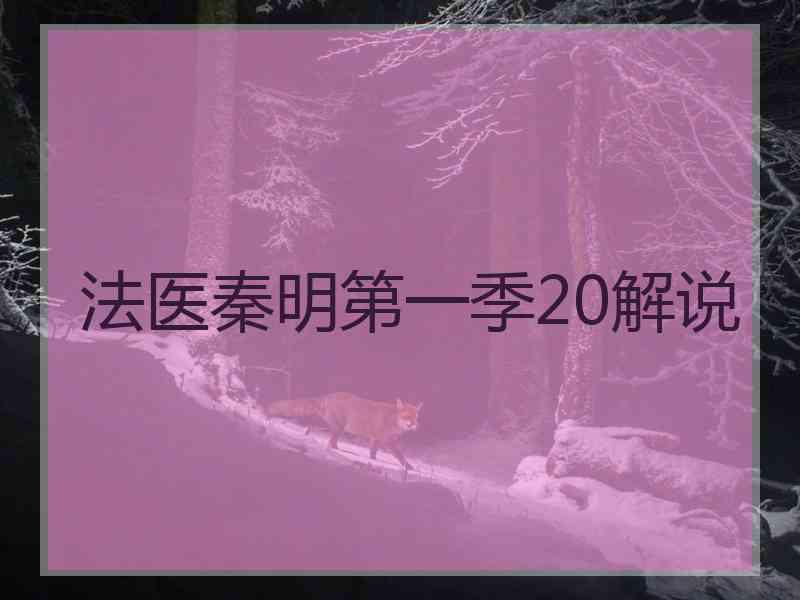 法医秦明第一季20解说