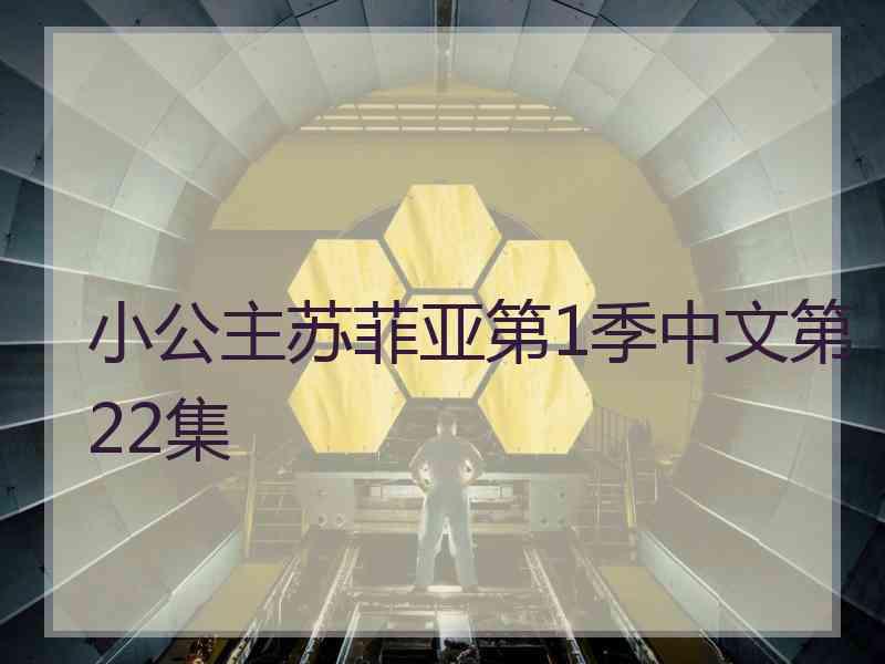 小公主苏菲亚第1季中文第22集