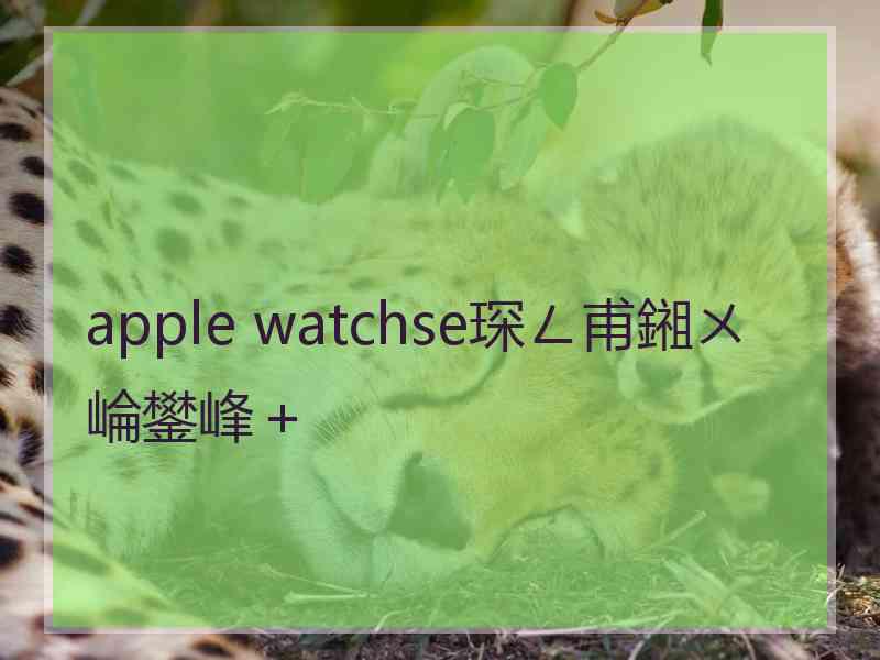 apple watchse琛ㄥ甫鎺ㄨ崘鐢峰＋