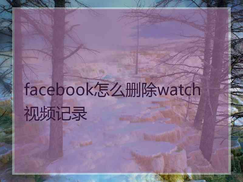 facebook怎么删除watch视频记录