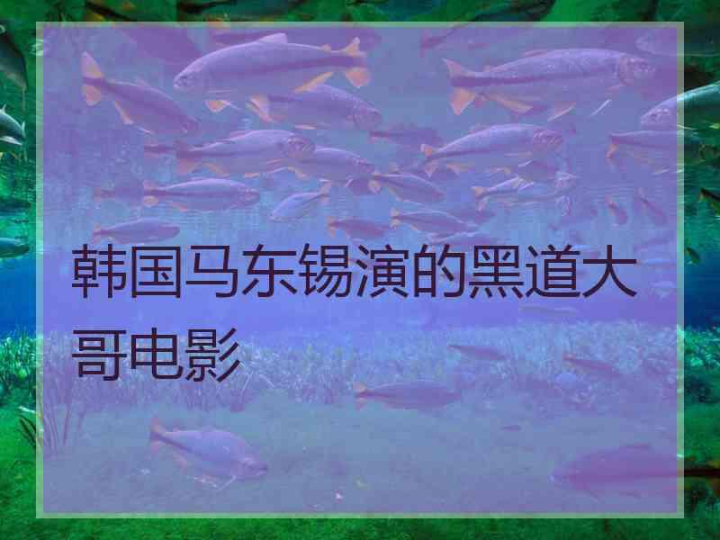 韩国马东锡演的黑道大哥电影