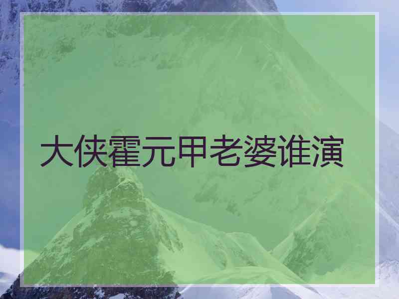 大侠霍元甲老婆谁演