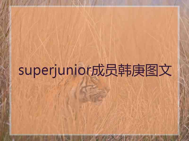 superjunior成员韩庚图文