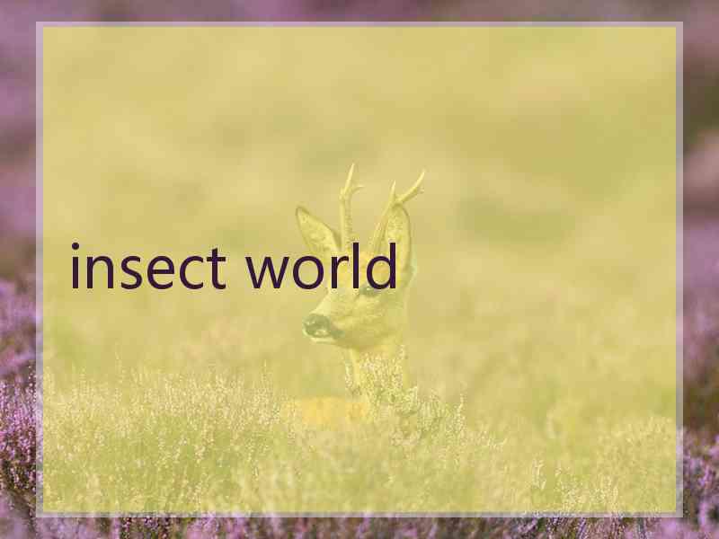 insect world