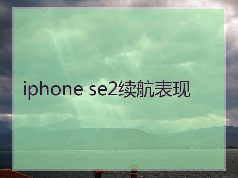 iphone se2续航表现